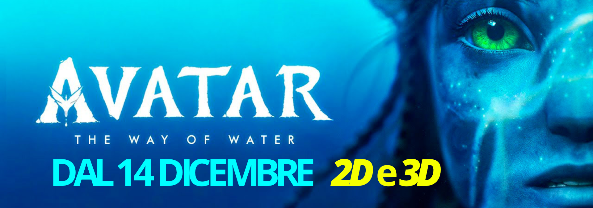 banner_1920x676_avatar